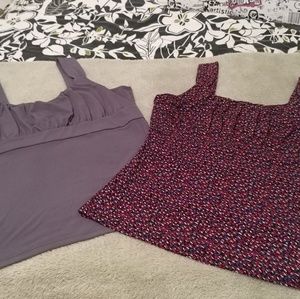 2 for 1 Ann Taylor Bundle The solid top is grey.